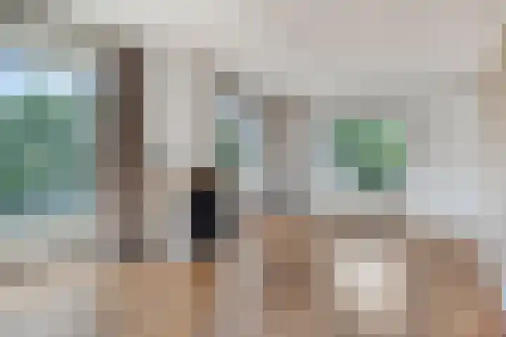 Hoekeindseweg 162 Bleiswijk thumbnail 9