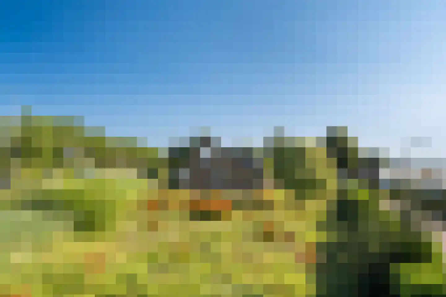 Hoekeindseweg 180 Bleiswijk thumbnail 14