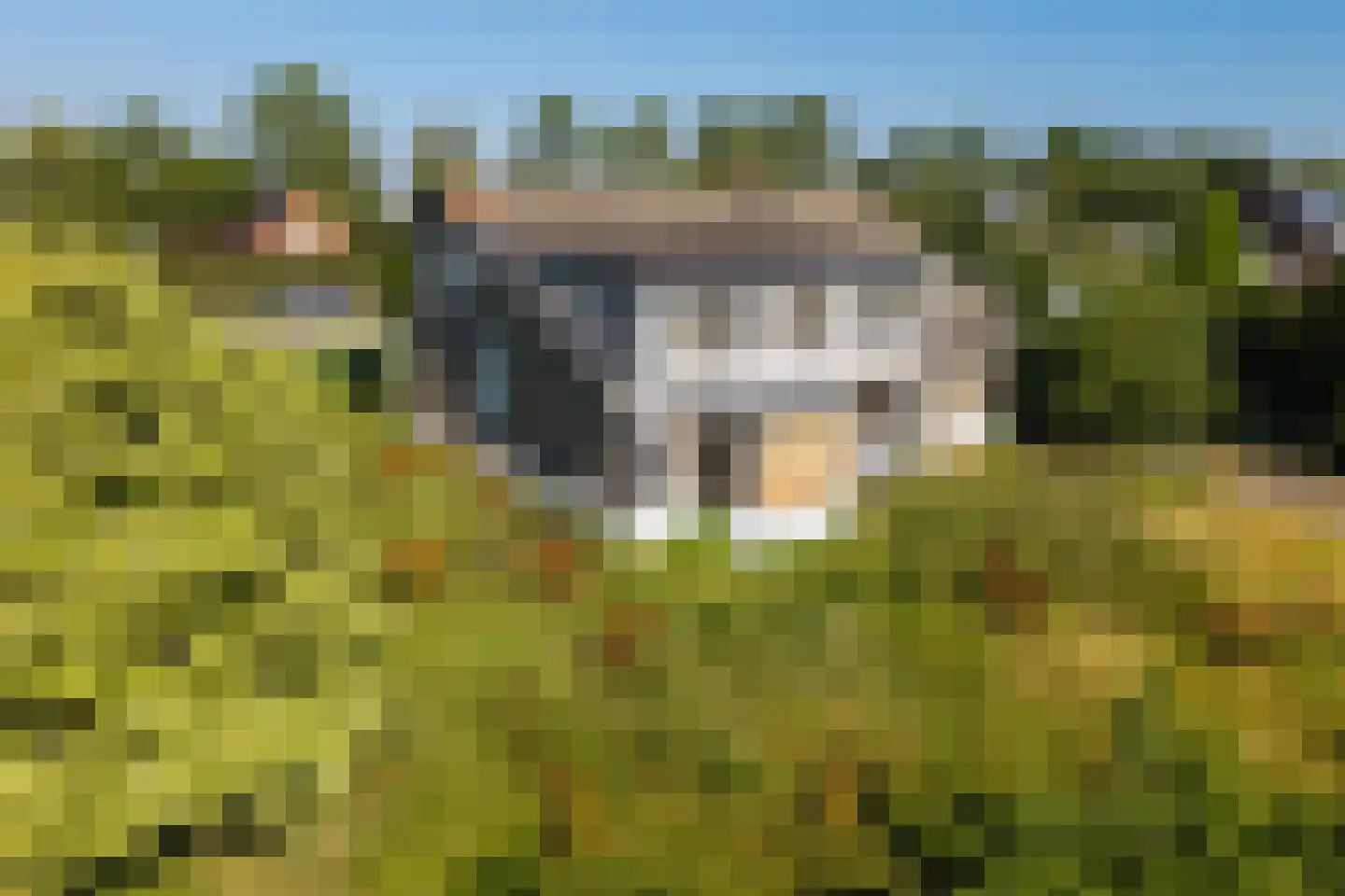 Hoekeindseweg 180 Bleiswijk thumbnail 4