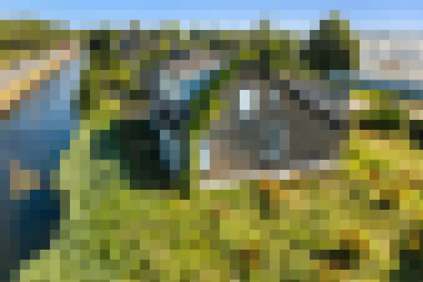 Hoekeindseweg 180 Bleiswijk thumbnail 5