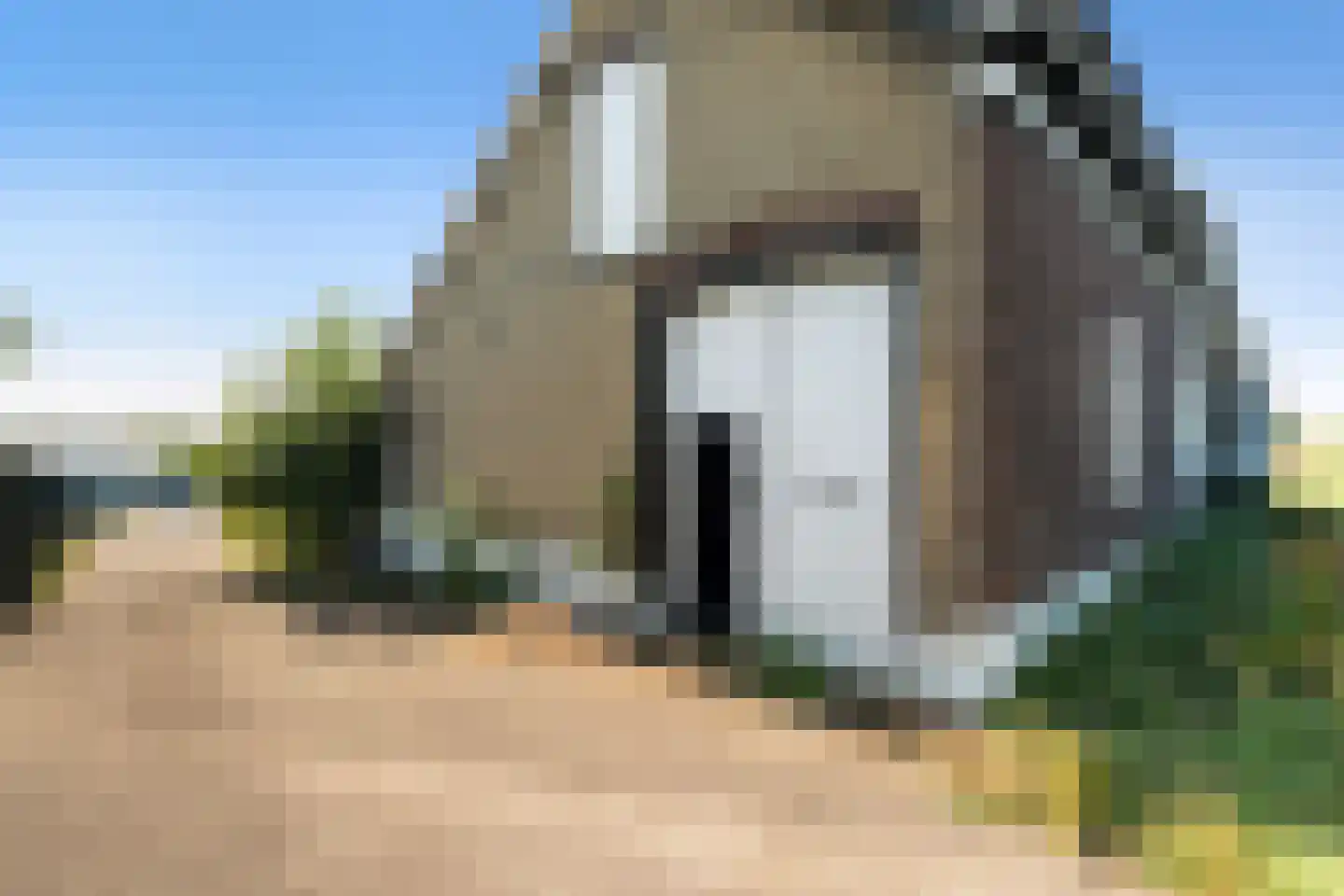 Hoekeindseweg 180 Bleiswijk thumbnail 7