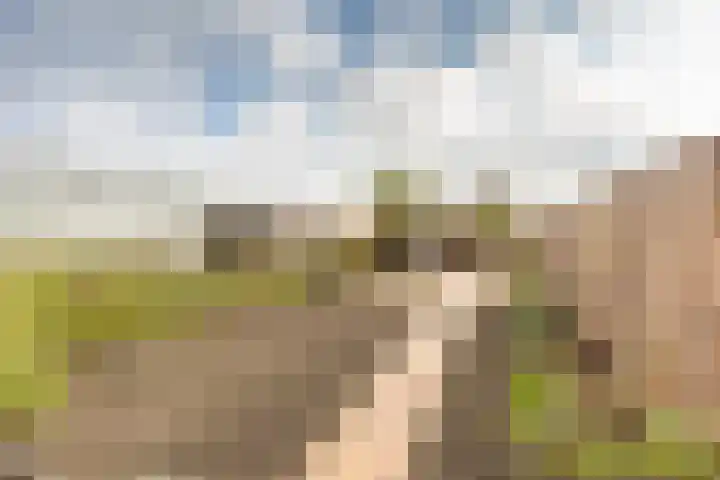 Hoekeindseweg 186 Bleiswijk thumbnail 4