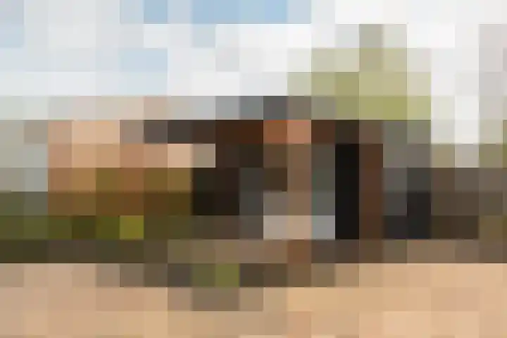 Hoekeindseweg 186 Bleiswijk thumbnail 40