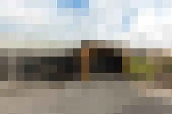 Hoekeindseweg 186 Bleiswijk thumbnail 42