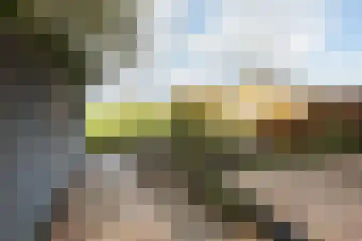 Hoekeindseweg 186 Bleiswijk thumbnail 43