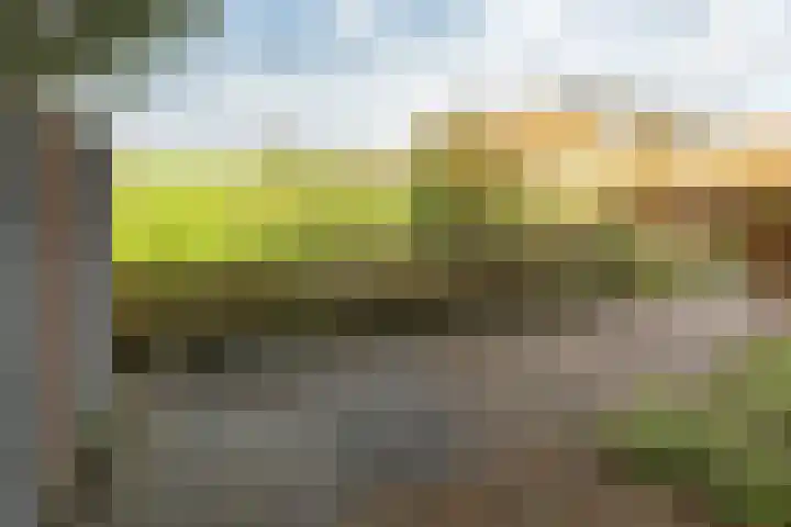 Hoekeindseweg 186 Bleiswijk thumbnail 45