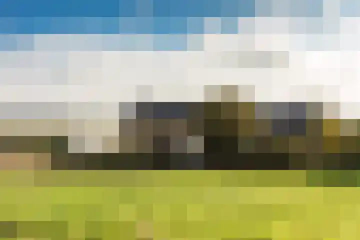 Hoekeindseweg 186 Bleiswijk thumbnail 47