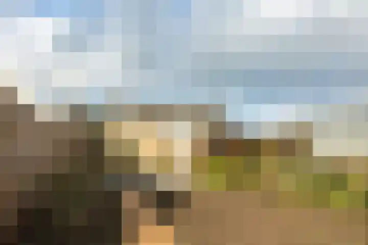 Hoekeindseweg 186 Bleiswijk thumbnail 5
