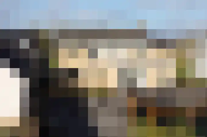 Hoekeindseweg 186 Bleiswijk thumbnail 6