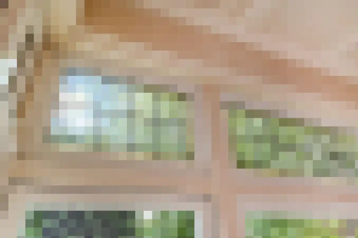 Hoekeindseweg 35 Bleiswijk thumbnail 17