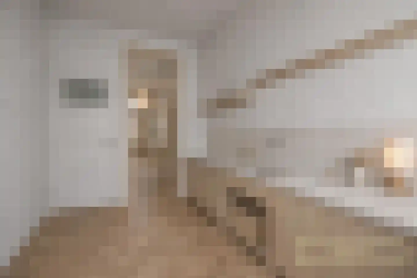 Hoekeindseweg 35 Bleiswijk thumbnail 18
