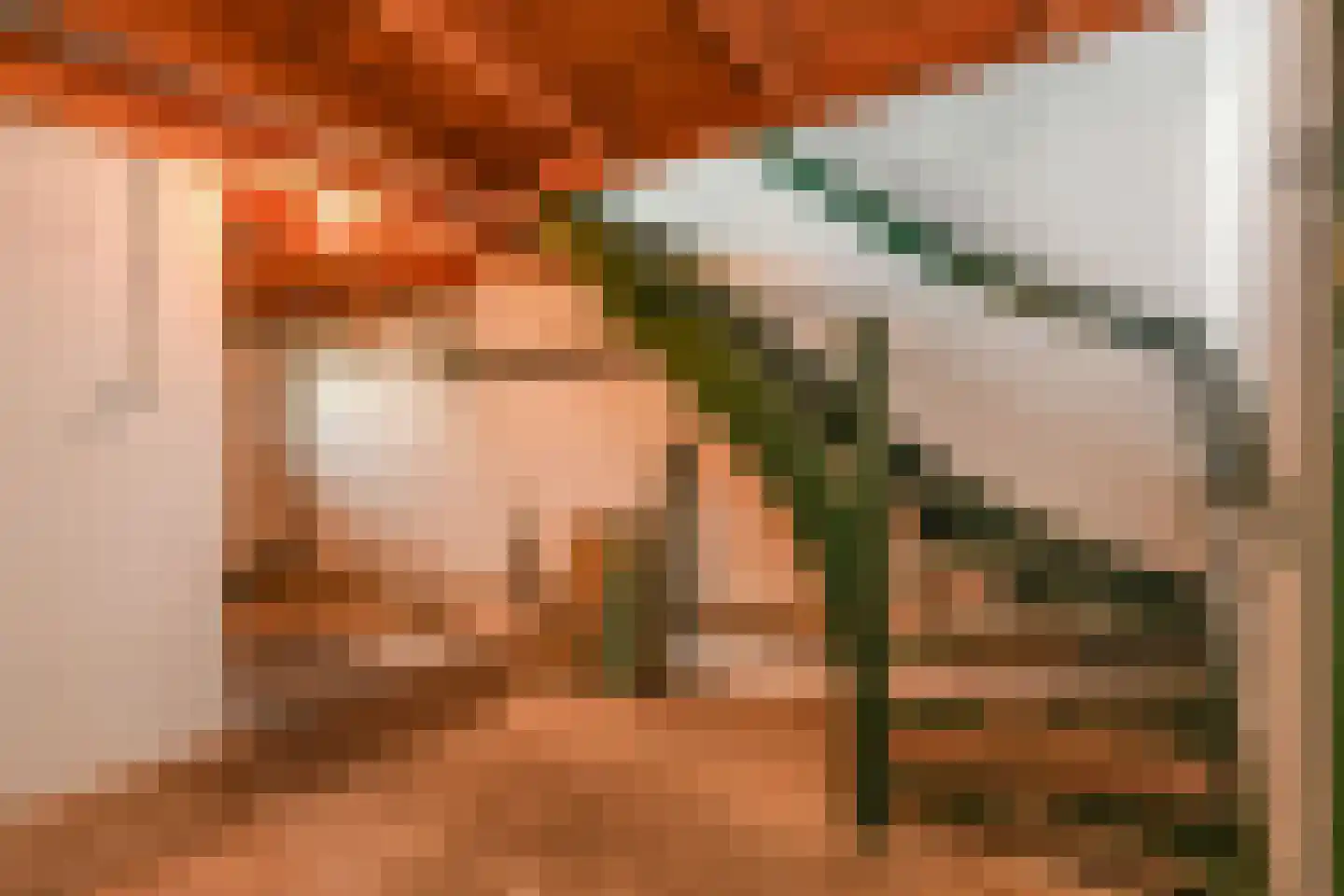 Hoekeindseweg 35 Bleiswijk thumbnail 25