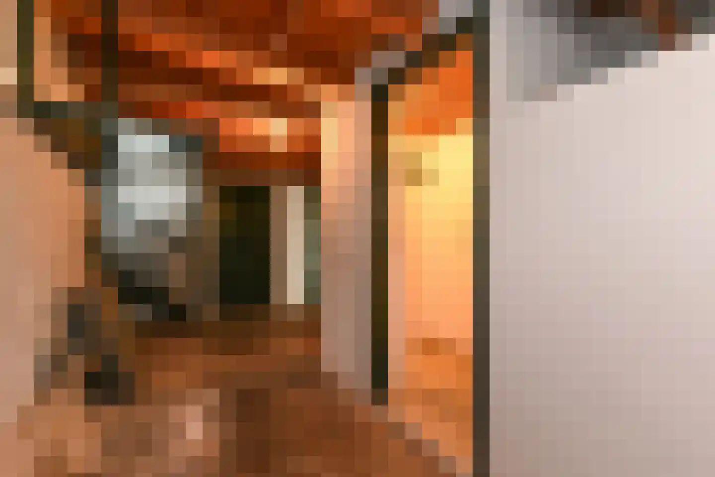 Hoekeindseweg 35 Bleiswijk thumbnail 28