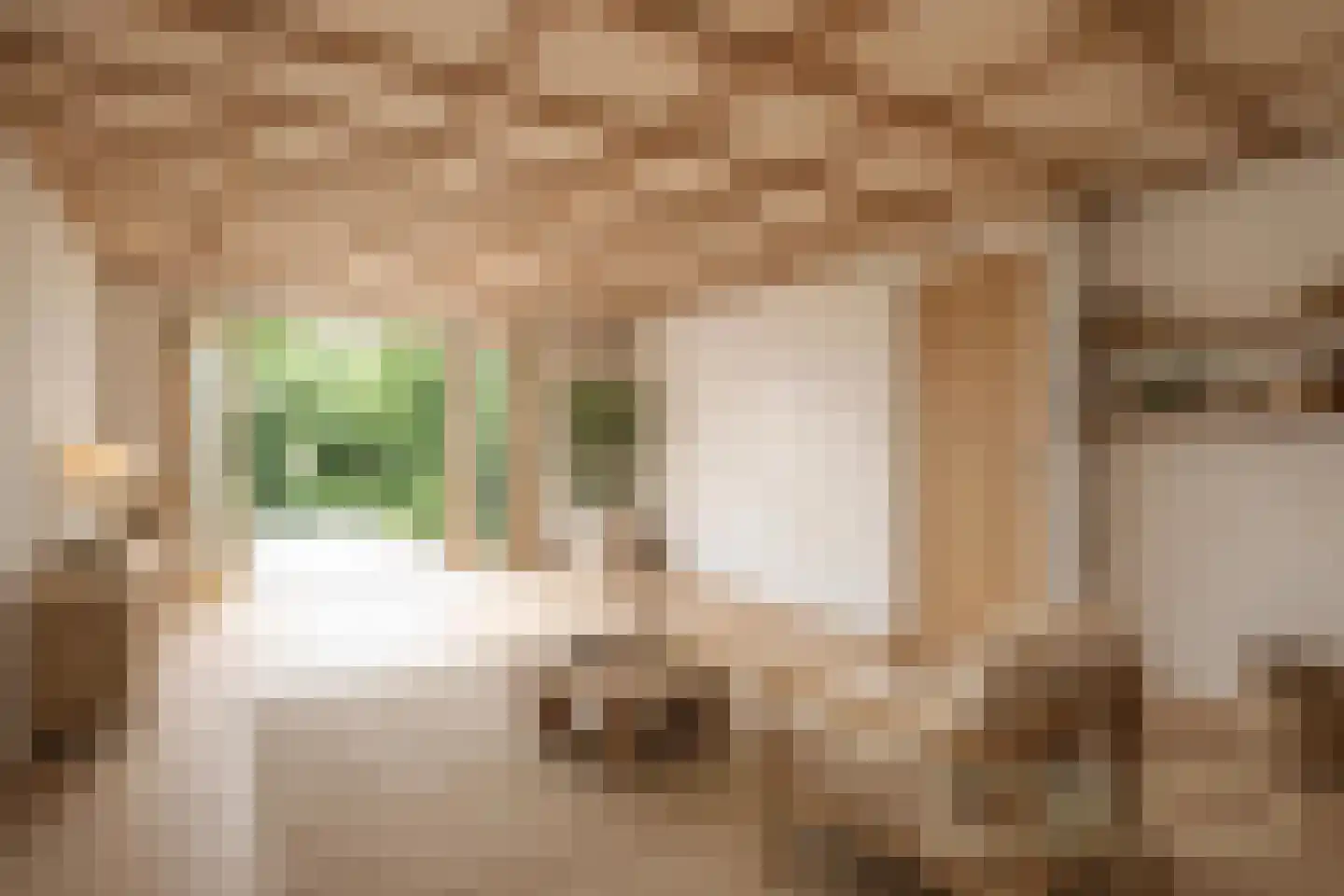 Hoekeindseweg 35 Bleiswijk thumbnail 29