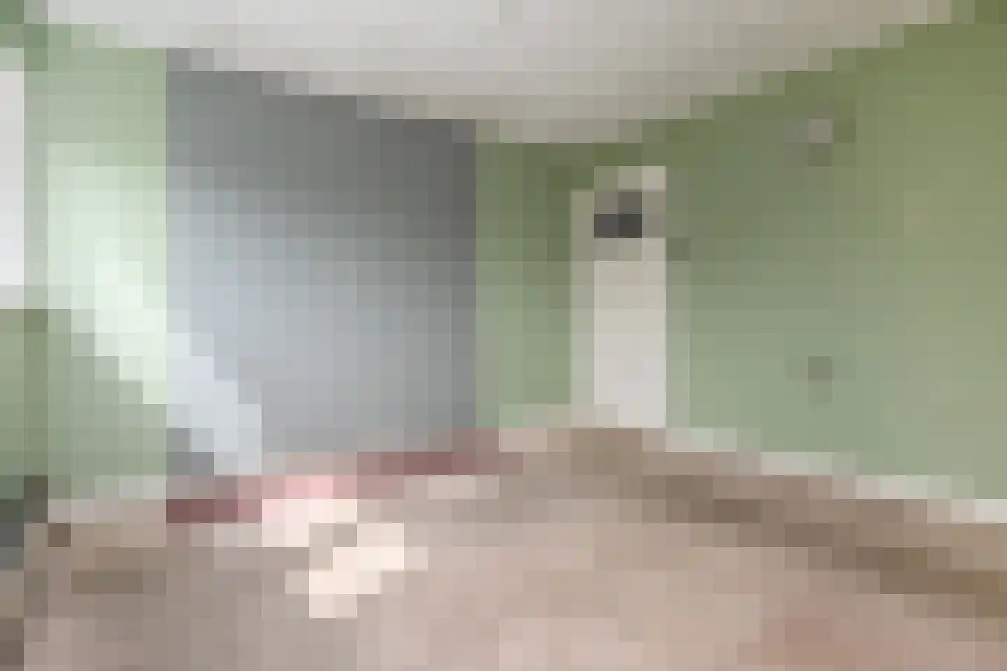 Hoekeindseweg 35 Bleiswijk thumbnail 40