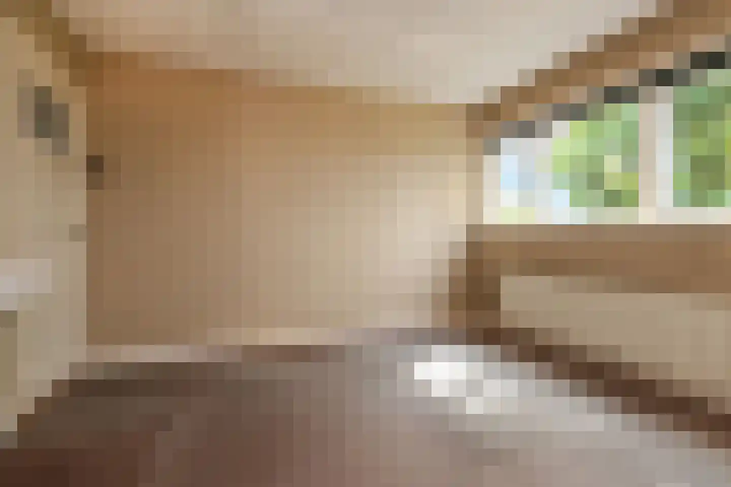 Hoekeindseweg 35 Bleiswijk thumbnail 43