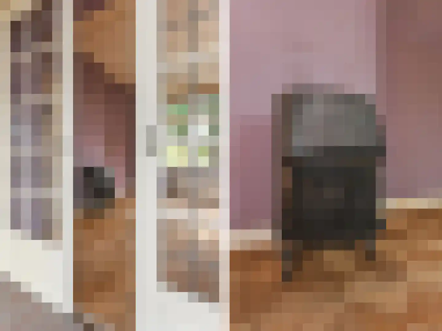 Hoekeindseweg 35 Bleiswijk thumbnail 5