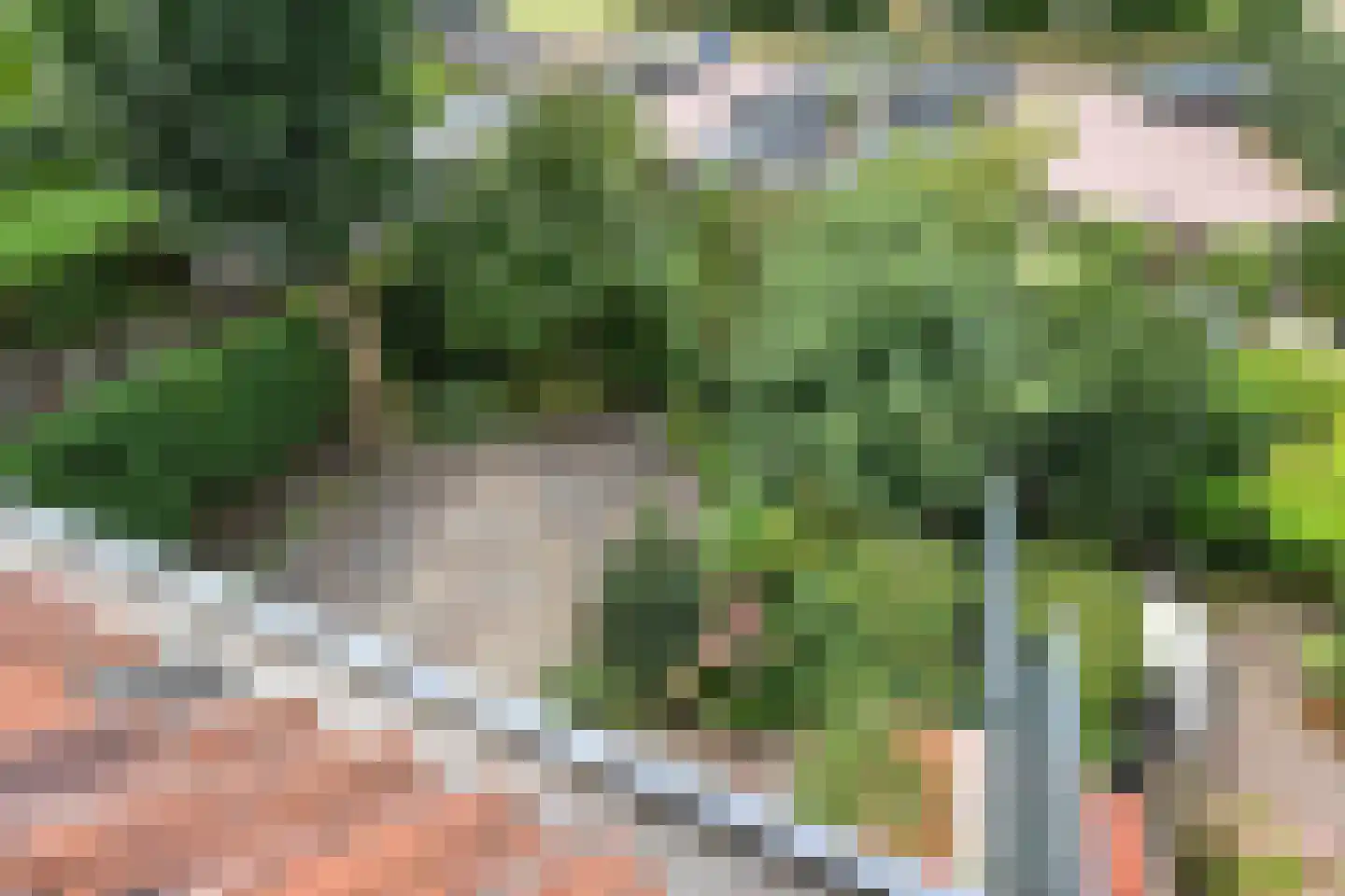 Hoekeindseweg 35 Bleiswijk thumbnail 54