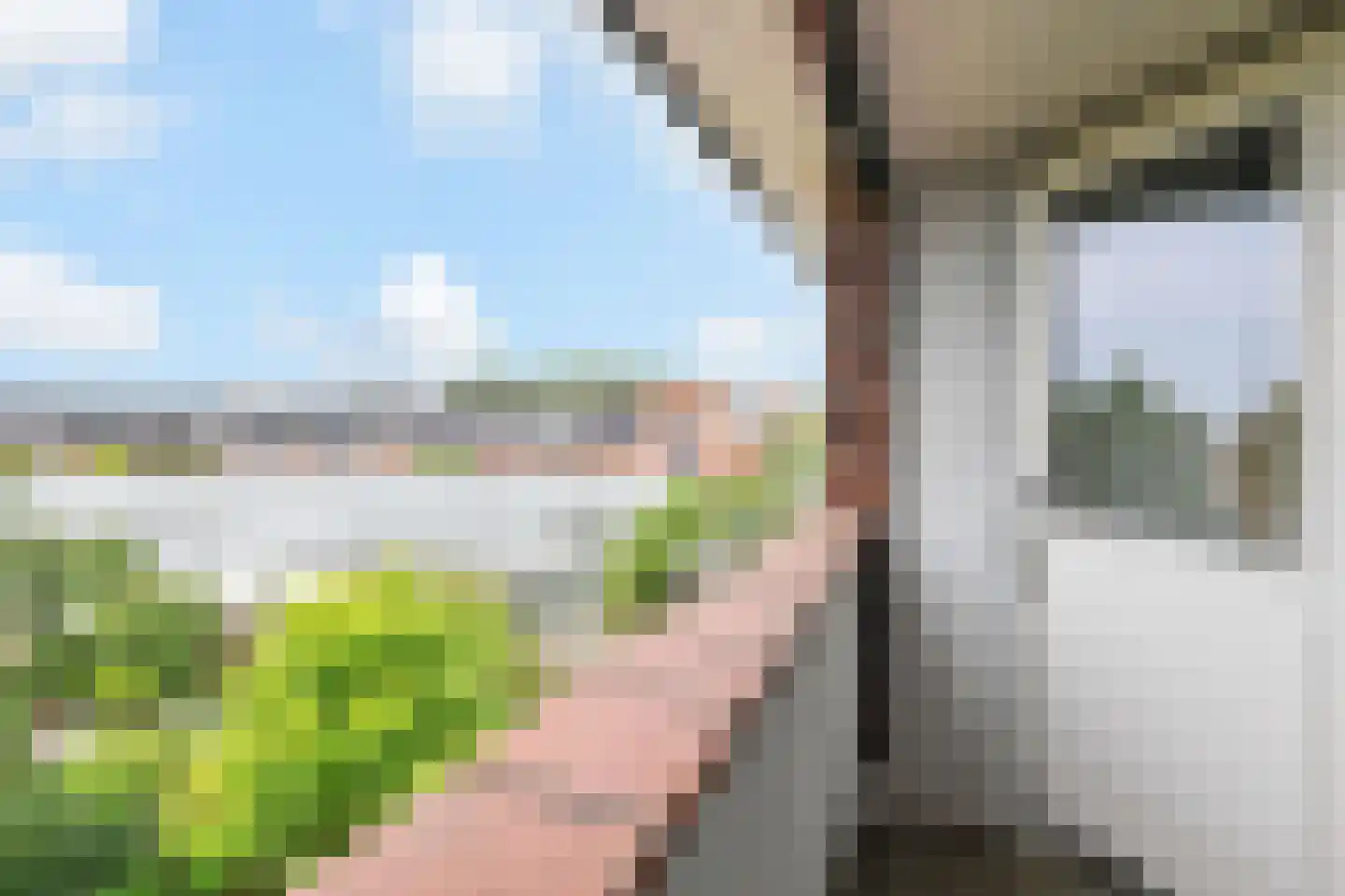 Hoekeindseweg 35 Bleiswijk thumbnail 56