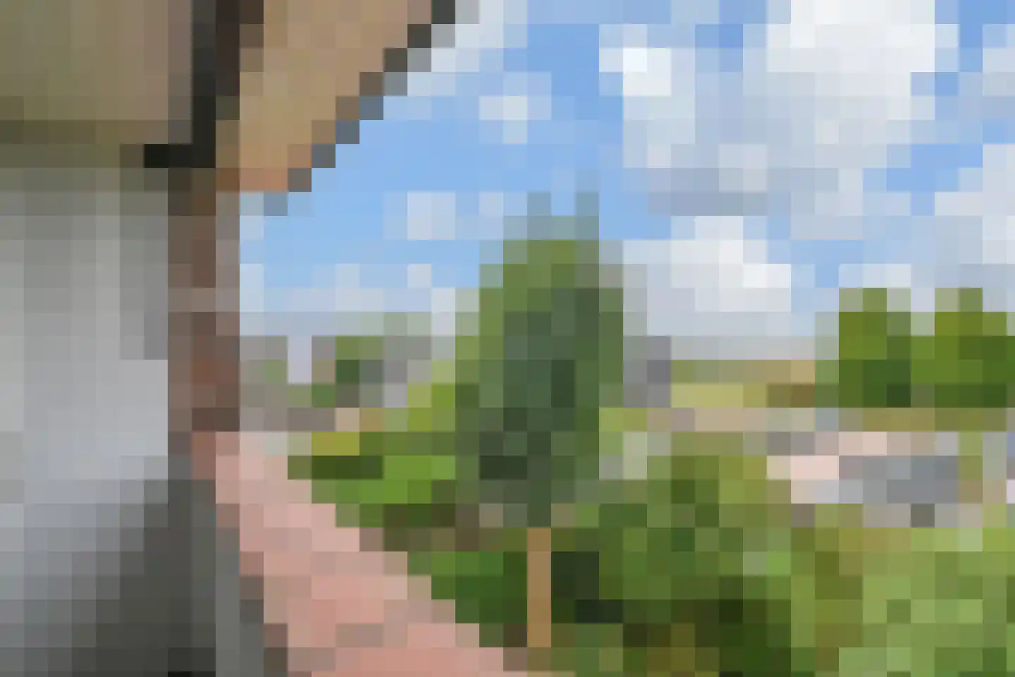 Hoekeindseweg 35 Bleiswijk thumbnail 57