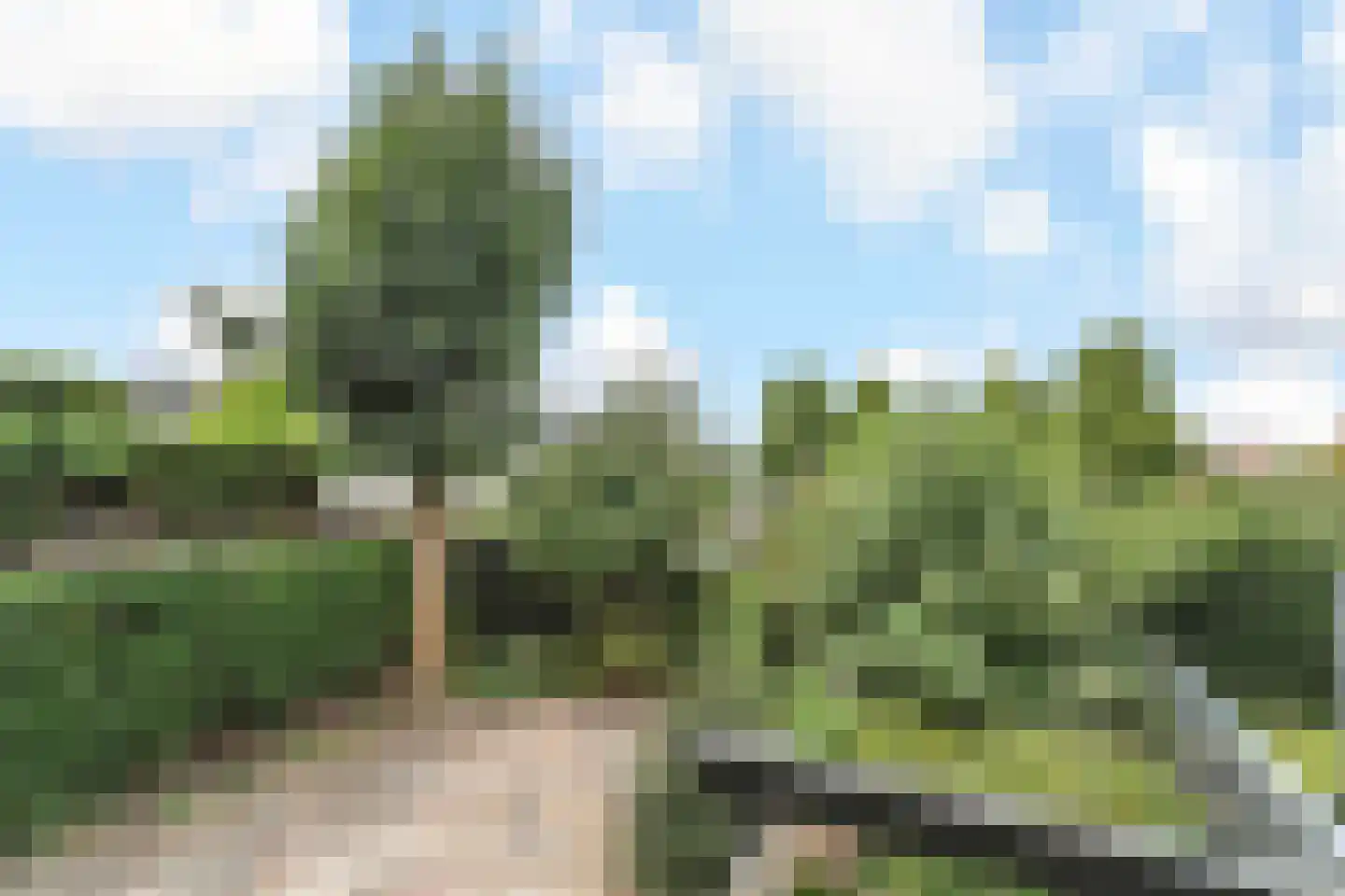 Hoekeindseweg 35 Bleiswijk thumbnail 59