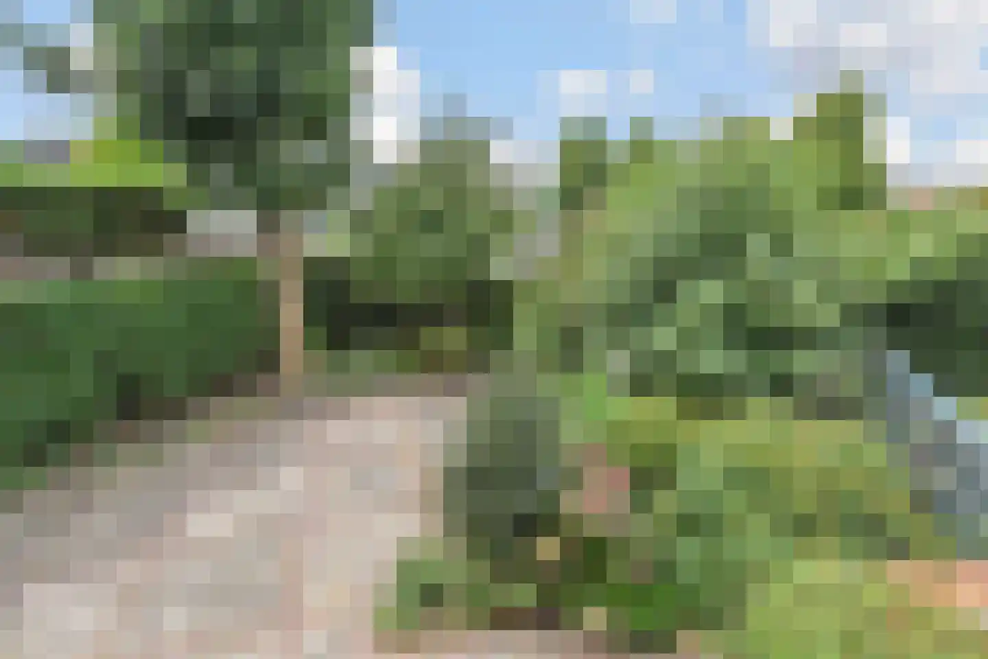 Hoekeindseweg 35 Bleiswijk thumbnail 61