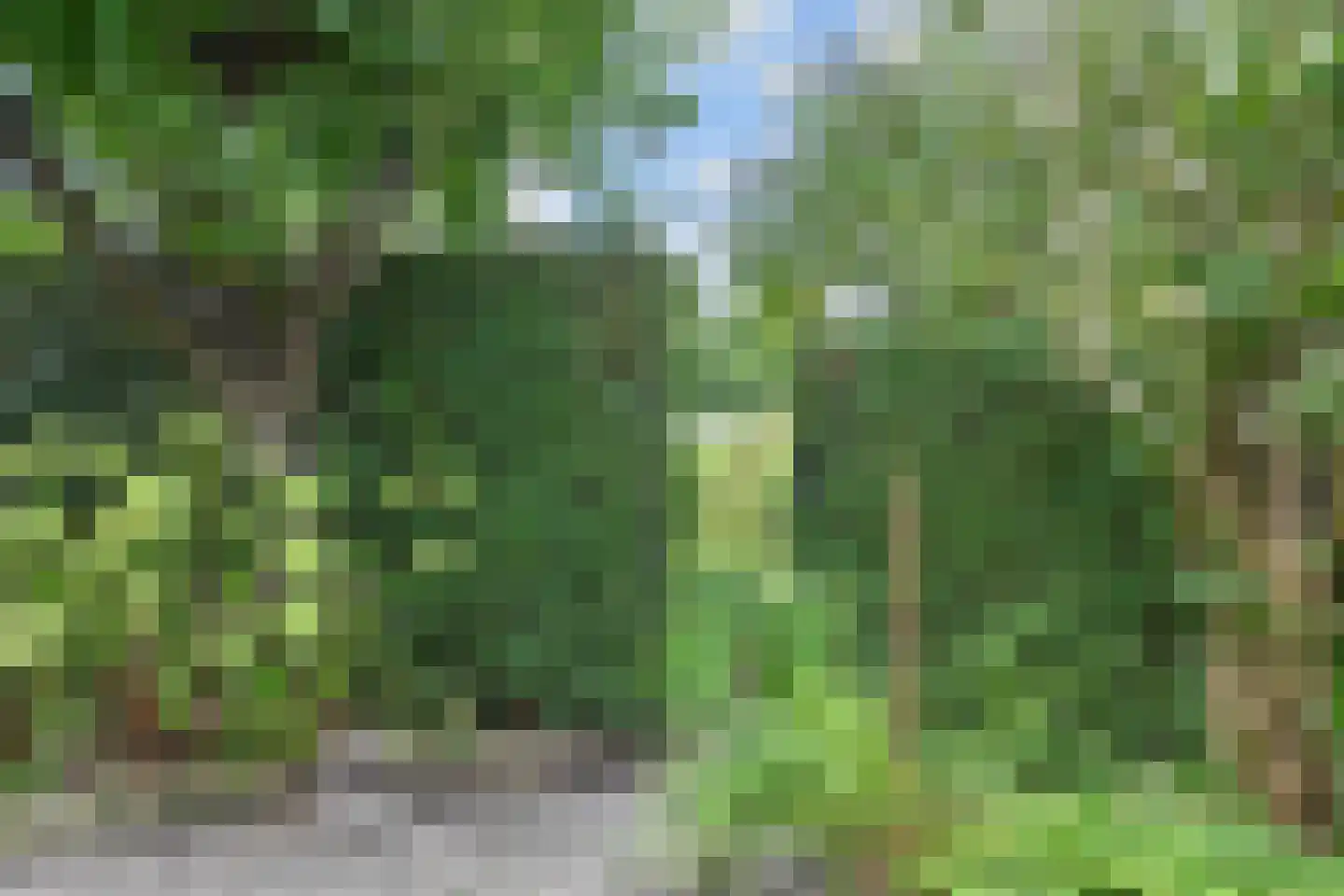 Hoekeindseweg 35 Bleiswijk thumbnail 64