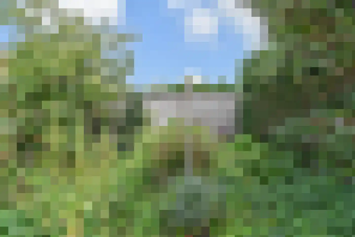 Hoekeindseweg 35 Bleiswijk thumbnail 66