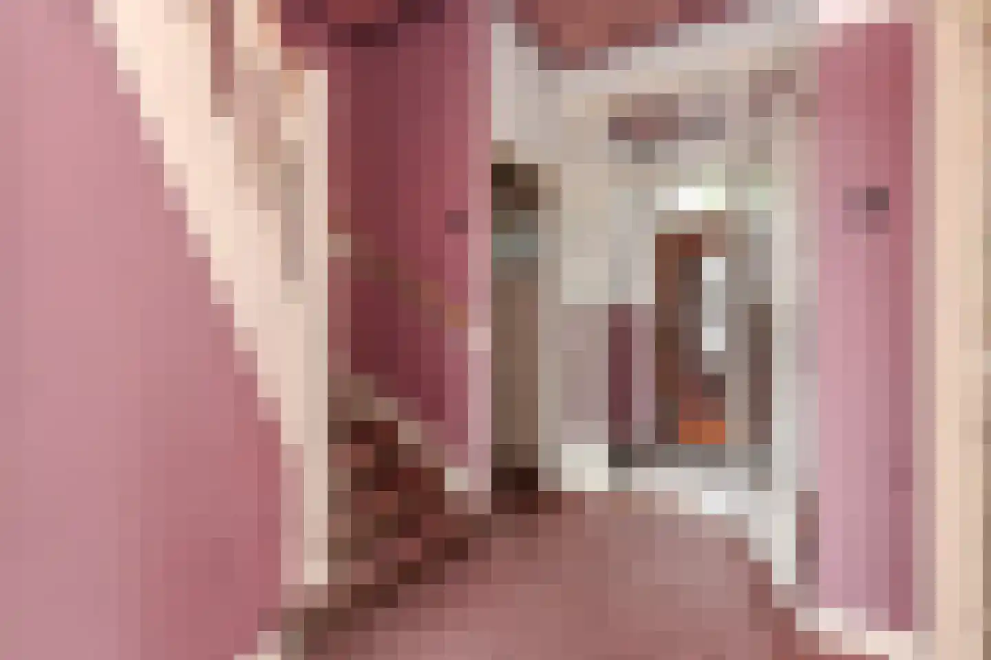 Hoekeindseweg 35 Bleiswijk thumbnail 7