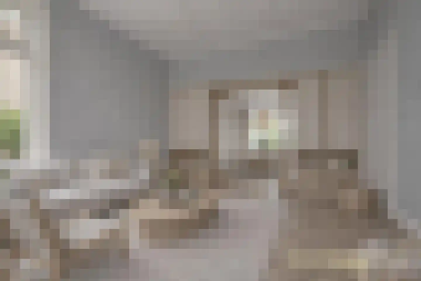 Hoekeindseweg 35 Bleiswijk thumbnail 8