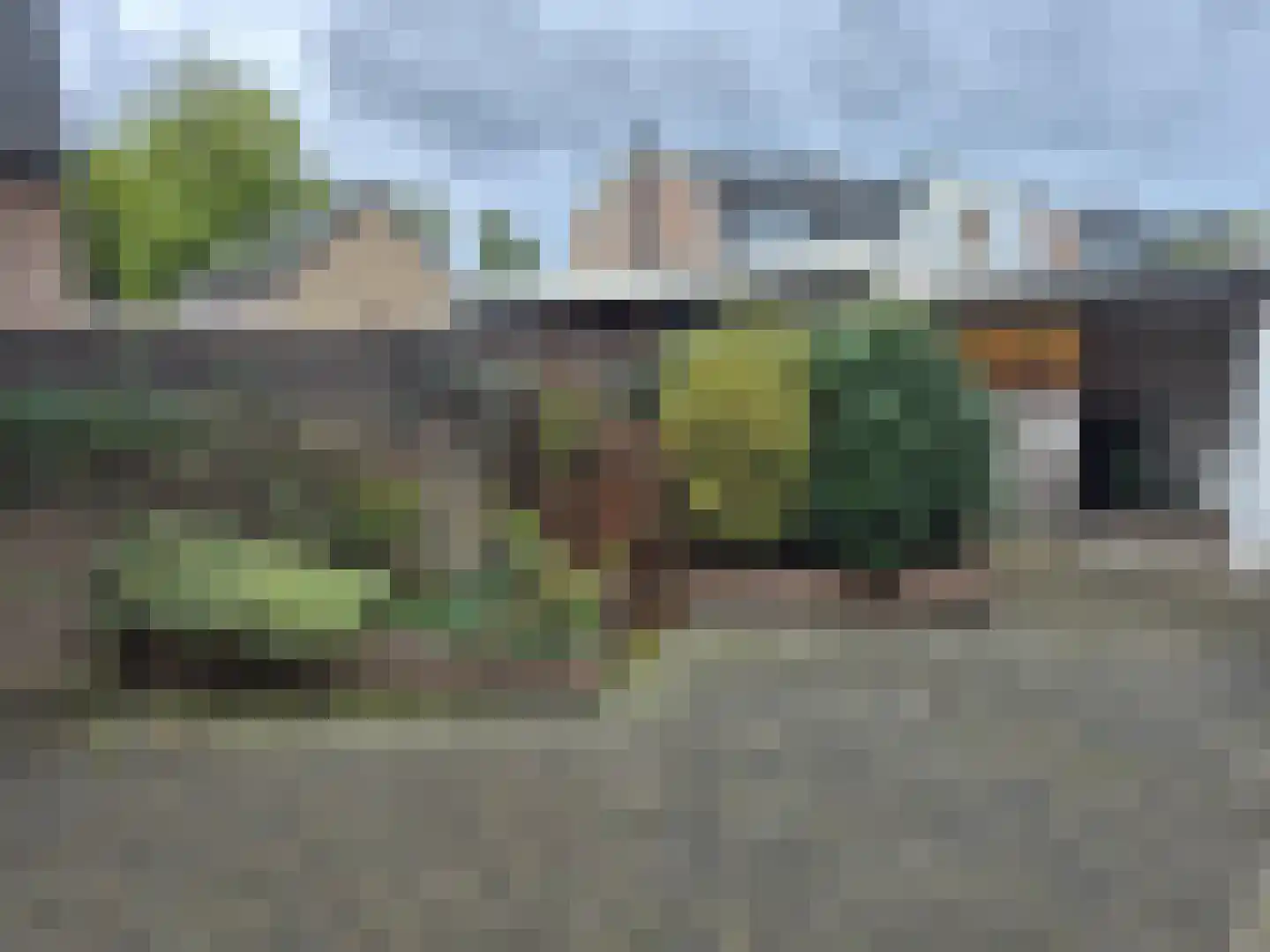 Hoekekker 22 Reusel thumbnail 11