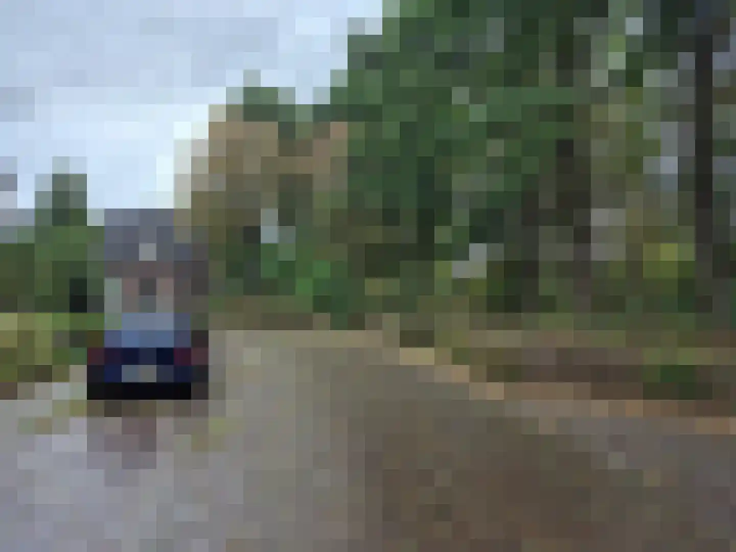 Hoekekker 22 Reusel thumbnail 13
