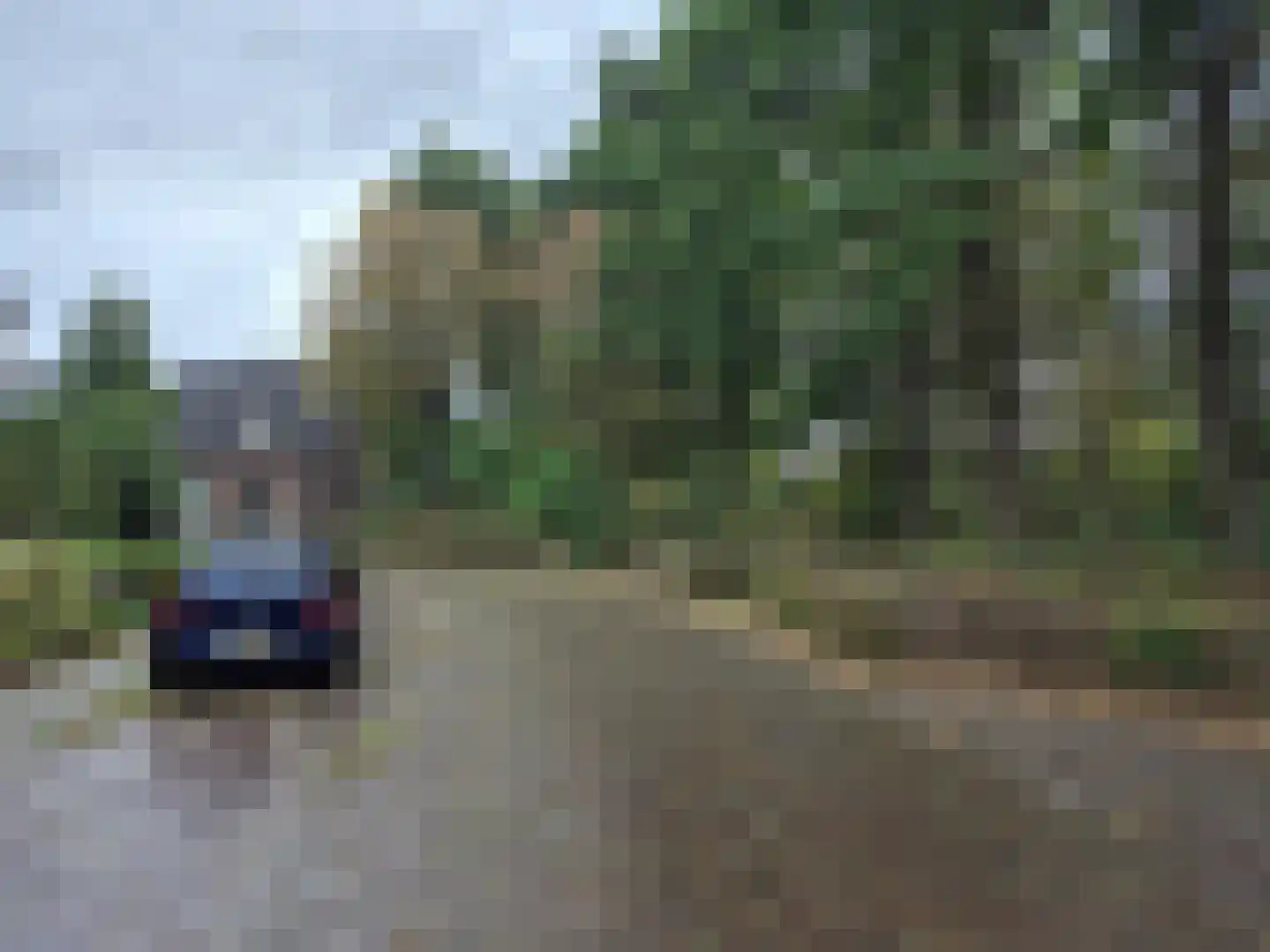 Hoekekker 22 Reusel thumbnail 13