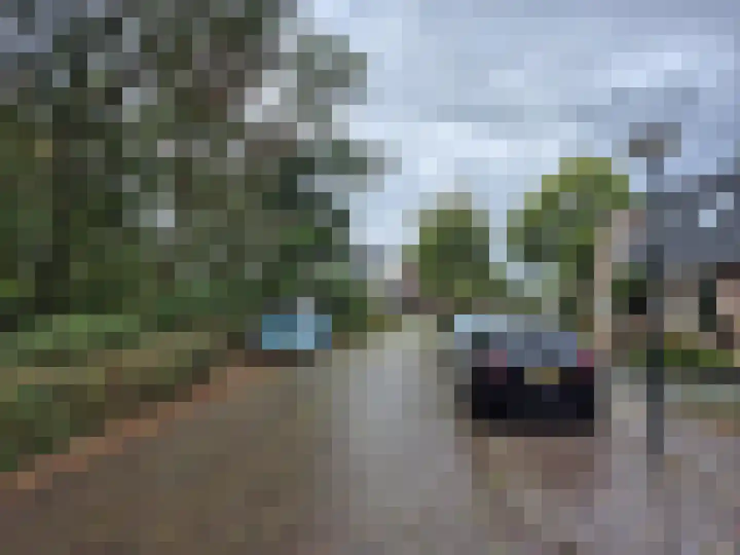 Hoekekker 22 Reusel thumbnail 14