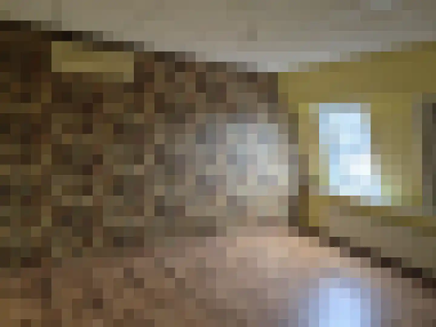 Hoekekker 22 Reusel thumbnail 6