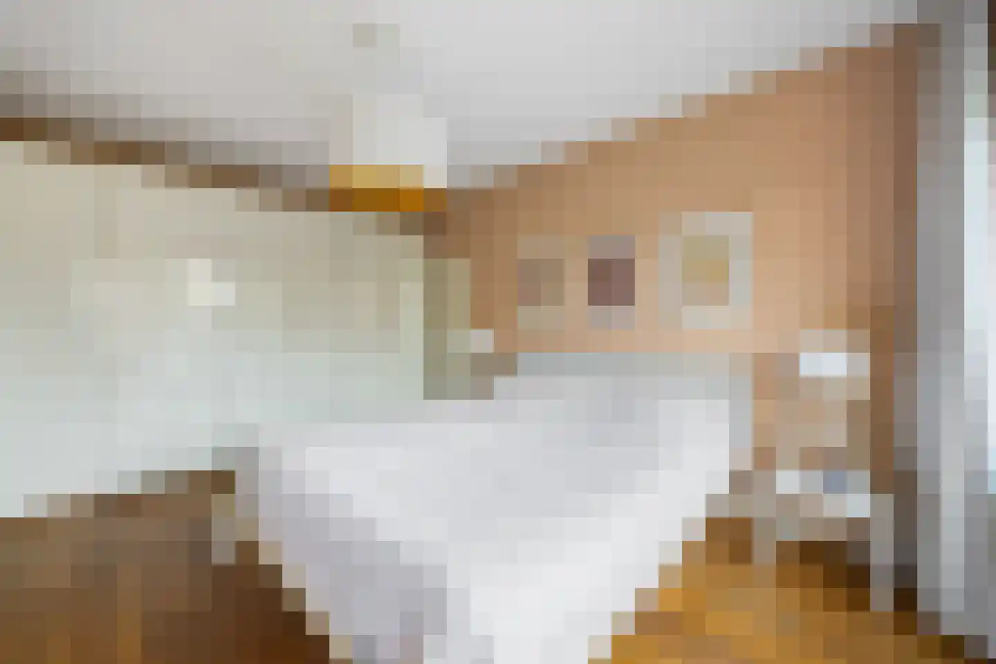 Hoekenburglaan 16 Voorburg thumbnail 19
