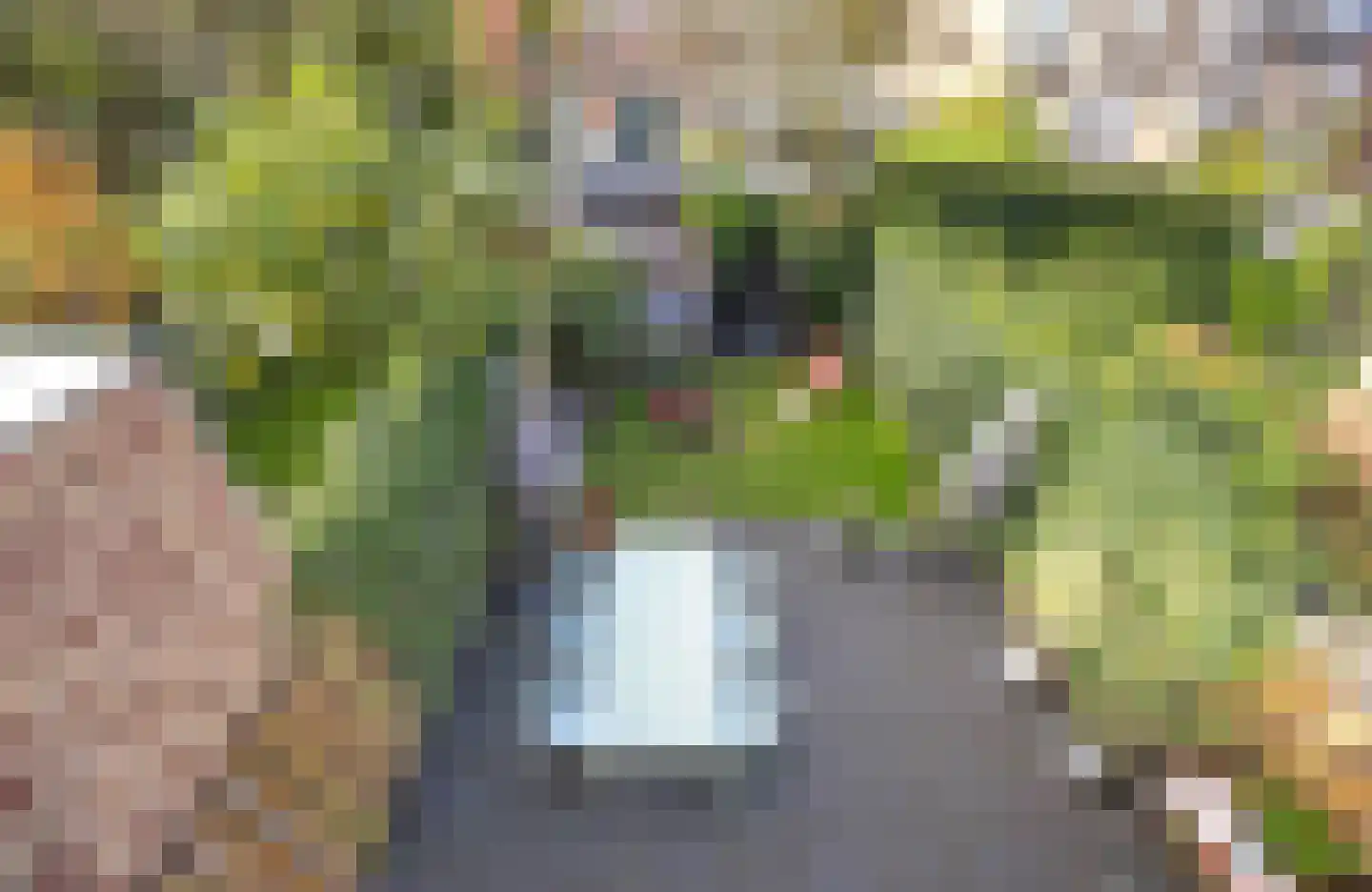 Hoekenburglaan 16 Voorburg thumbnail 21