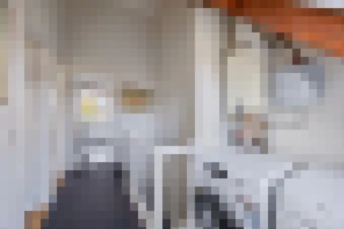 Hoekenburglaan 16 Voorburg thumbnail 28