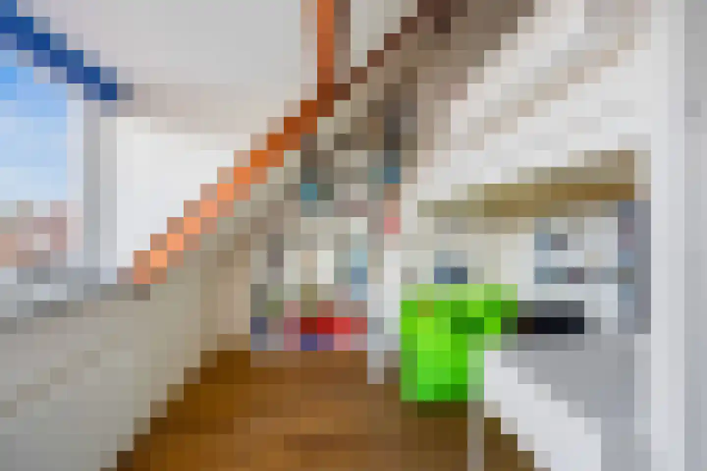 Hoekenburglaan 16 Voorburg thumbnail 29