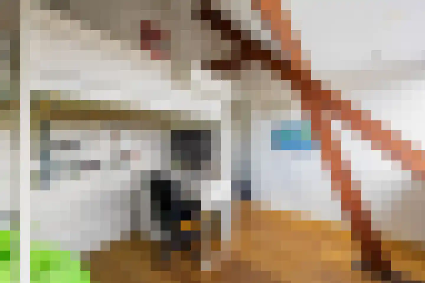 Hoekenburglaan 16 Voorburg thumbnail 30