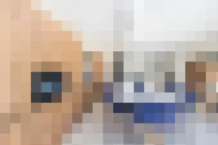 Hoekenburglaan 29 Voorburg thumbnail 17