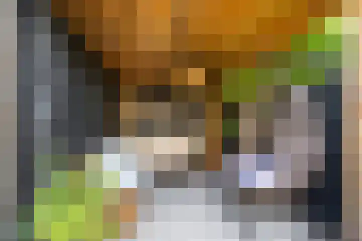 Hoekenburglaan 29 Voorburg thumbnail 22