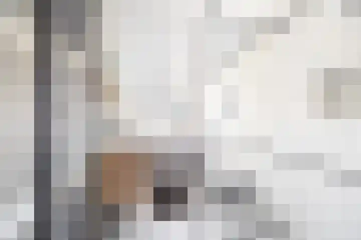 Hoekenburglaan 29 Voorburg thumbnail 42