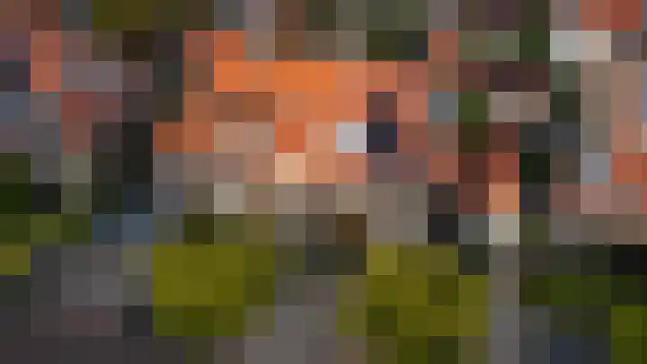 Hoekenburglaan 29 Voorburg thumbnail 45