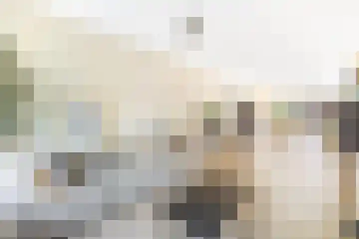 Hoekenburglaan 29 Voorburg thumbnail 6