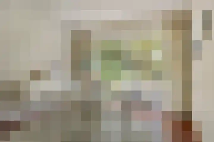 Hoekendaal 9 Bakel thumbnail 18