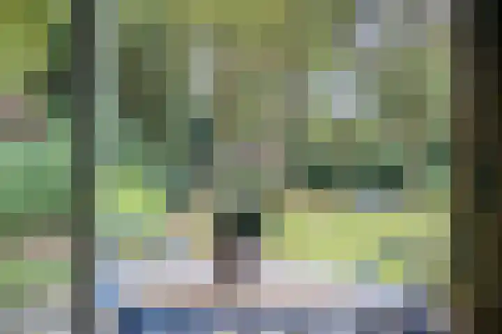 Hoekendaal 9 Bakel thumbnail 20