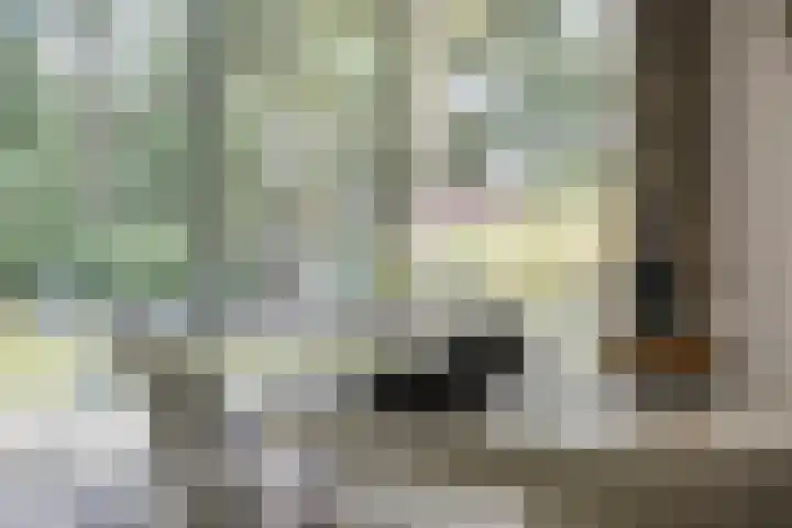 Hoekendaal 9 Bakel thumbnail 21