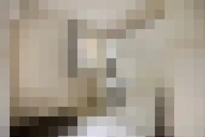 Hoekendaal 9 Bakel thumbnail 28