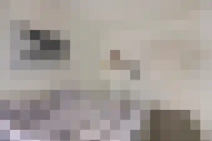 Hoekendaal 9 Bakel thumbnail 32